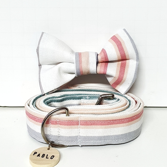 🐶 3 for $15 * Pablo's Cotton Stripes Dog Bow Tie & Leash Set - Picture 5 of 8